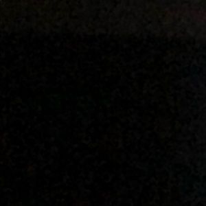 Meet your Posher, Sienna